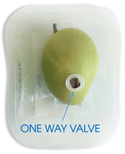 oneway valve