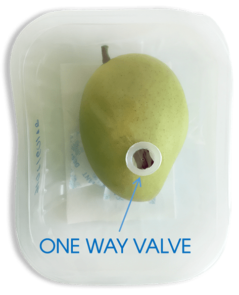 oneway valve